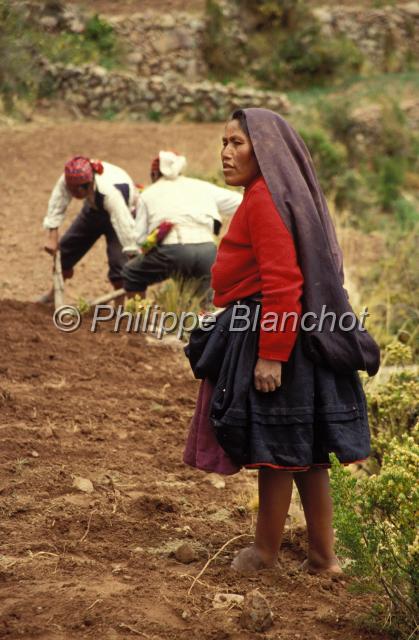perou 24.JPG - Ile de TaquiléLac TiticacaPérou